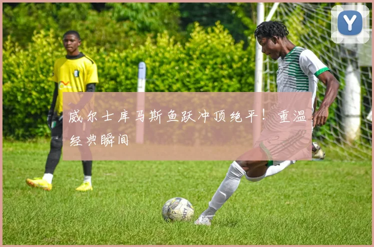 威尔士库马斯鱼跃冲顶绝平！重温经典瞬间